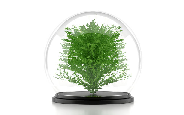 玻璃穹顶保护着这棵树图片下载