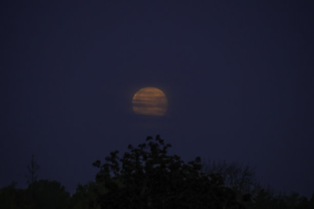 满月落下图片下载