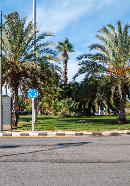 西班牙瓦伦西亚市中心的交通圈图片下载