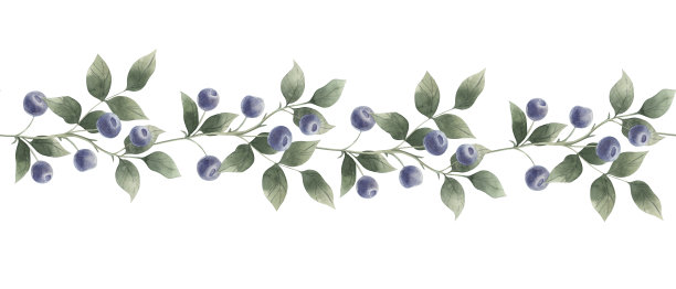 水彩图案与森林浆果分离。图片下载