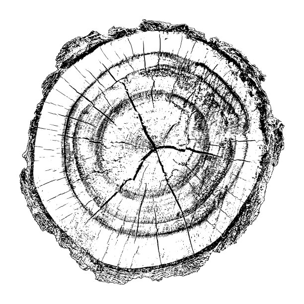 木材纹理图片下载