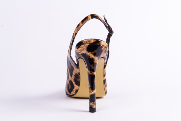 有光泽的高跟鞋在白色的背景图片下载