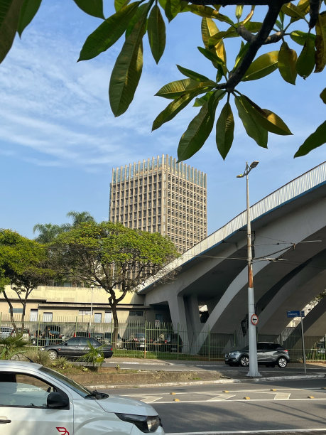 城市生活有立交桥、建筑和汽车图片下载