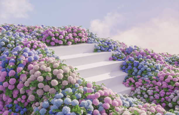 自然美讲台背景，产品展示与绣球花田。图片下载