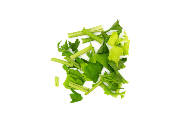 白色背景上的新鲜芹菜切片俯视图图片下载