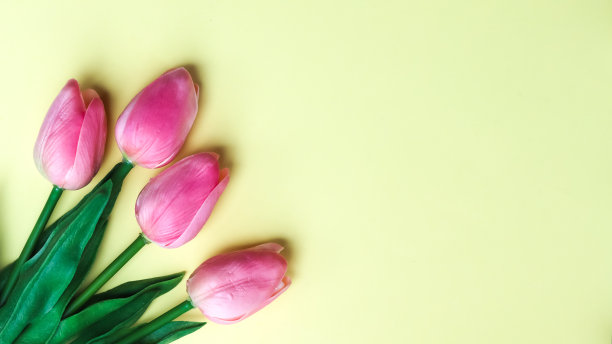 塑料花作装饰，花作背景图片下载