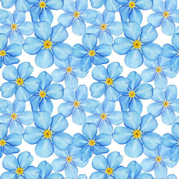 白色背景上的蓝色勿忘我花的无缝图案。图片下载