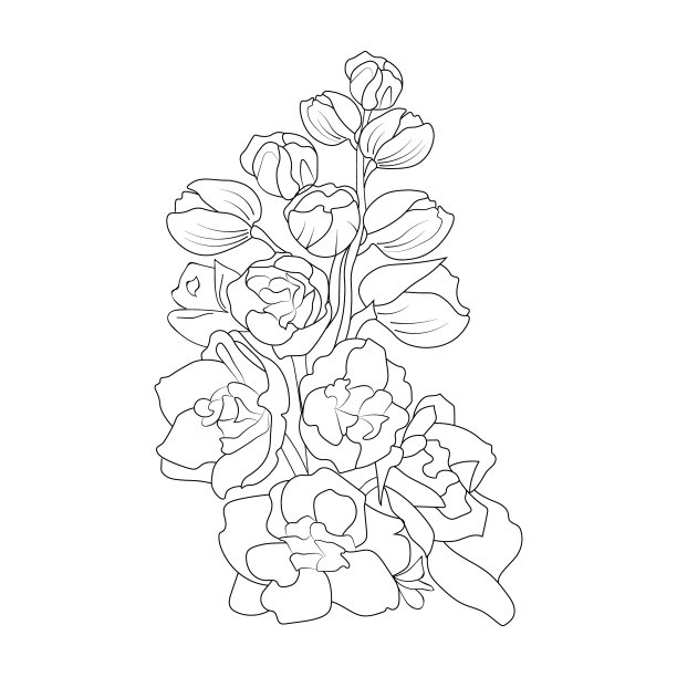 轮廓飞燕花画，素描飞燕线画，简单飞燕画，铅笔飞燕画。飞燕草绘图容易，纹身云雀花绘图图片下载