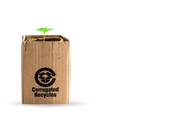 瓦楞再循环花盆。图片下载