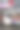 一只白猫坐在花店外花丛中的桌子下面。图片下载