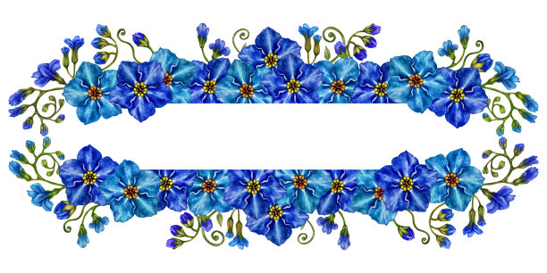 矩形手绘水彩蓝色勿忘我带绿色树枝和草的花束，母亲节，父亲节，情人节，生日，春夏邀请，花卉标签。图片下载