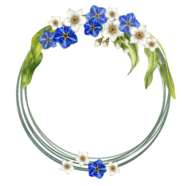 圆形框架手绘水彩白色和蓝色勿忘我与绿色的树枝和草的婚礼花束，母亲节，父亲节，情人节，生日，春夏邀请，花卉标签。图片下载