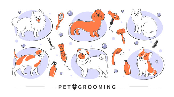 美容43 NEW图片下载