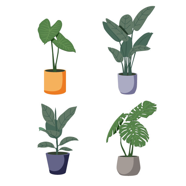 植物在锅矢量插图集。卡通平不同的室内盆栽装饰室内家庭植物图片下载