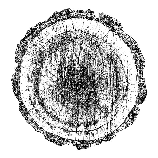 木材纹理图片下载