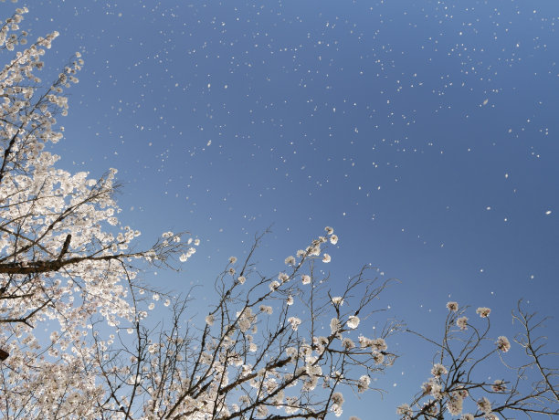 2023年4月1日图片下载