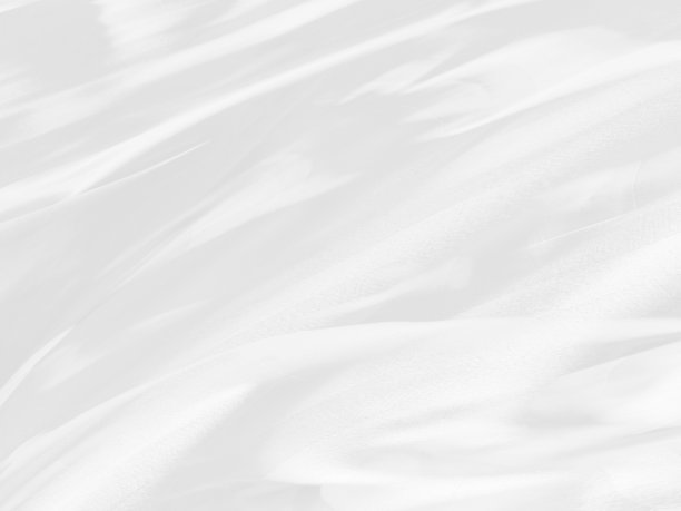 时尚柔软面料干净的纺织品编织美观抽象流畅的曲线形状装饰白色背景图片下载