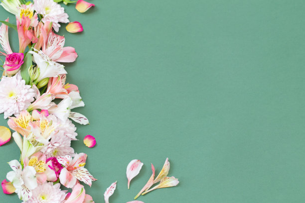 绿色背景上的夏日花朵图片下载