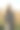 一组黑白图案的女模特在草地上摆姿势的照片。户外时尚写真配自然光。图片下载