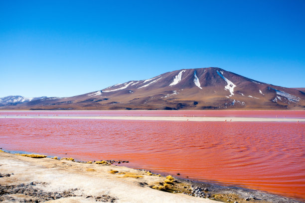 玻利维亚，科罗拉多湖景观图片下载