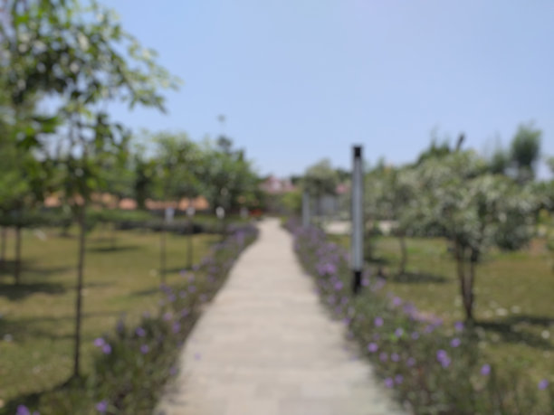 城市公园里一条人行道的模糊照片图片下载