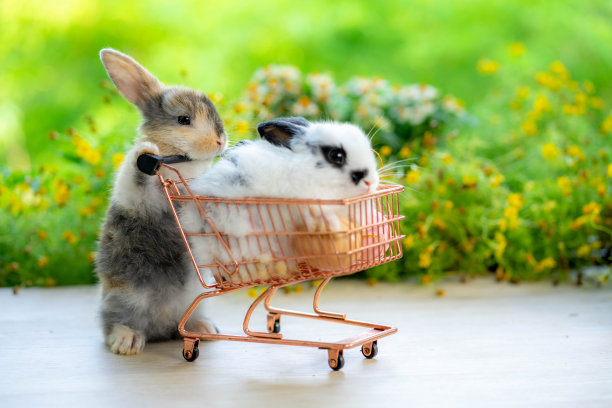 两只可爱的小兔子和购物车在绿色的草地上，以自然散景为背景，可爱的小兔子在花园里玩耍。图片下载