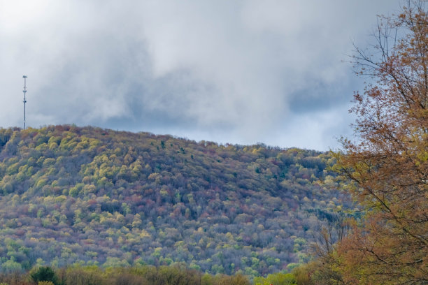 引人注目的天空山覆盖着盛开的树木，山顶上有一个手机信号塔图片下载