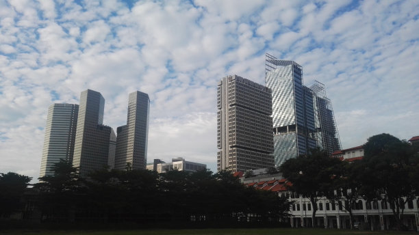 2018年，新加坡公园里的树木，后面是摩天大楼图片下载