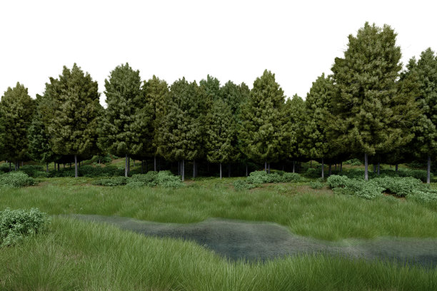 现实的草地平原与河流和树木。图片下载