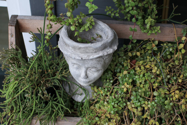 用于园林装饰的雕塑花盆。温室的概念。夏天的园艺静物。图片下载