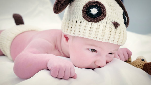 穿着戏服的新生儿。刚出生的男婴戴着狗帽的特写图片下载