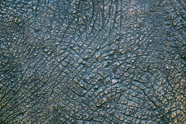 恐龙动物的皮肤纹理作为背景。图片下载