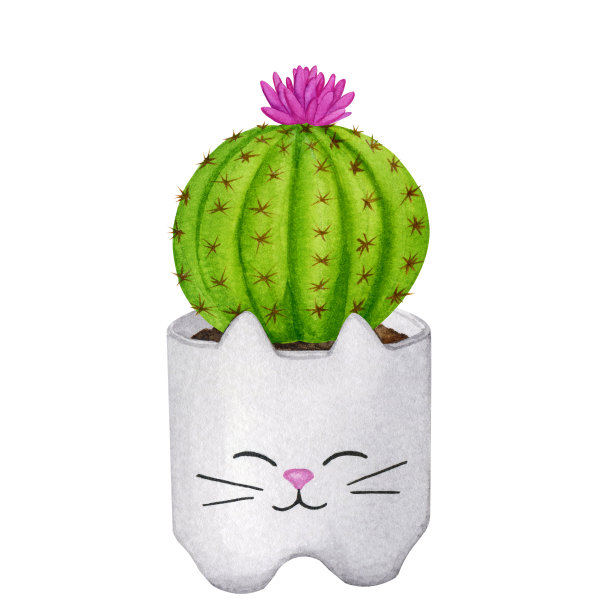 仙人掌在一个可爱的小猫形状的陶瓷壶。绿色室内植物。波西米亚风格，斯堪的纳维亚风格。为卡片，标志，文具，印刷品，织物，家纺设计的水彩剪贴画。图片下载