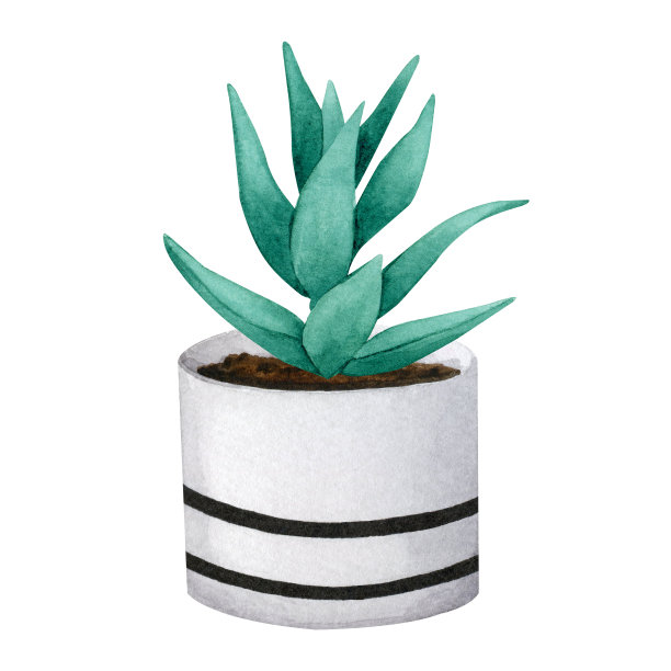 多肉植物在陶瓷花盆。波西米亚，斯堪的纳维亚风格。为卡片，标志，文具，印刷品，织物，家纺设计的水彩剪贴画。图片下载