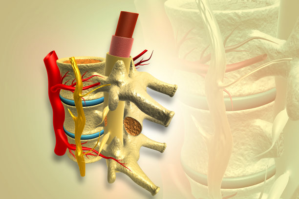 人类脊柱的科学背景。三维演示图片下载