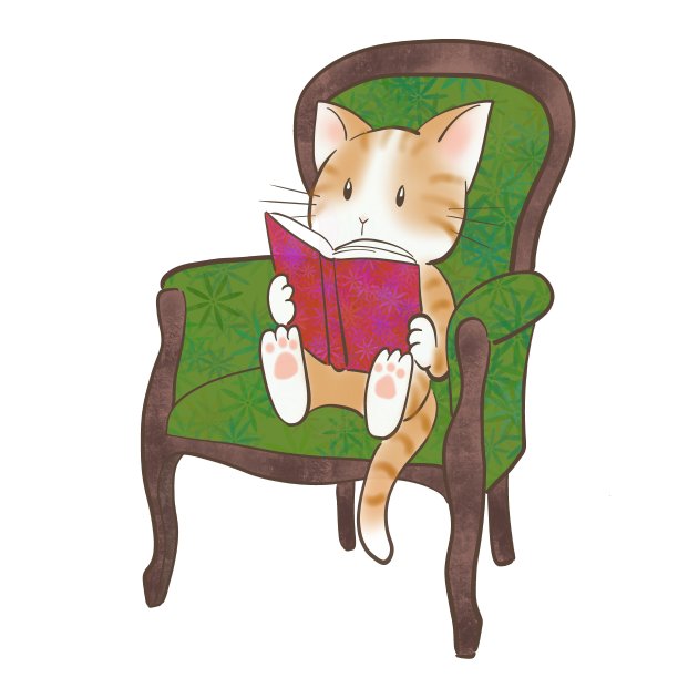 猫和书1图片下载