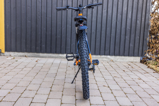 私人别墅人行道上山地车的近景后景。瑞典。图片下载