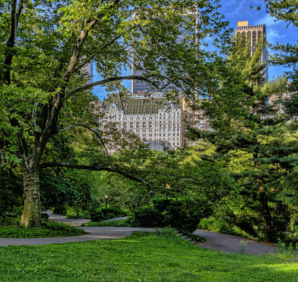 春天的中央公园图片下载