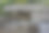 科巴遗址，金塔纳罗奥，墨西哥图片下载