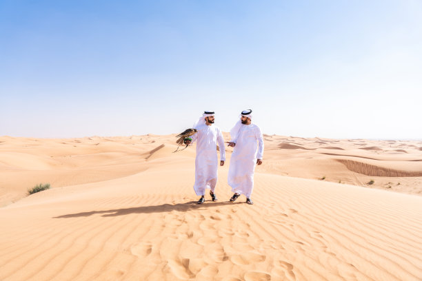 两个中东的阿联酋人穿着阿拉伯坎杜拉在沙漠中手持猎鹰图片下载