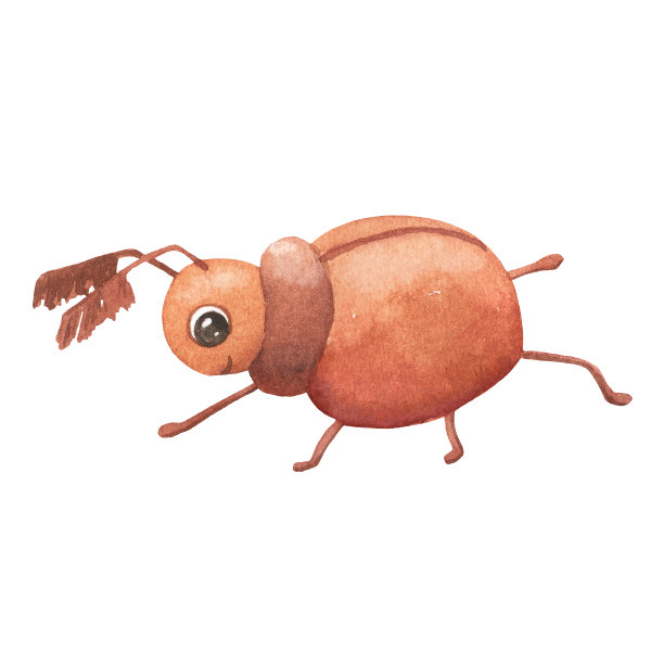 可爱的微笑甲虫孤立在白色。孩子们的有趣昆虫。水彩卡通插画图片下载