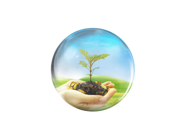 一棵小树在你的掌心。投资。环保泡泡观。图片下载