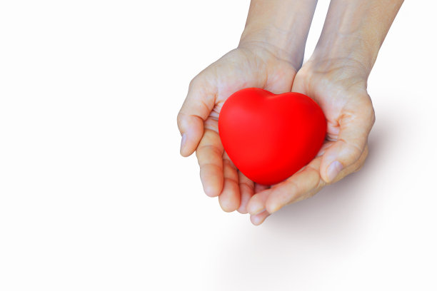 手里捧着红心的保险概念，在白色的背景上，复制空间顶视图图片下载