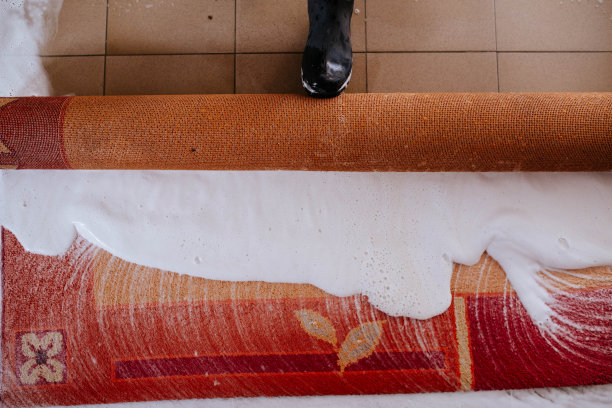 专业地毯清洗图片下载