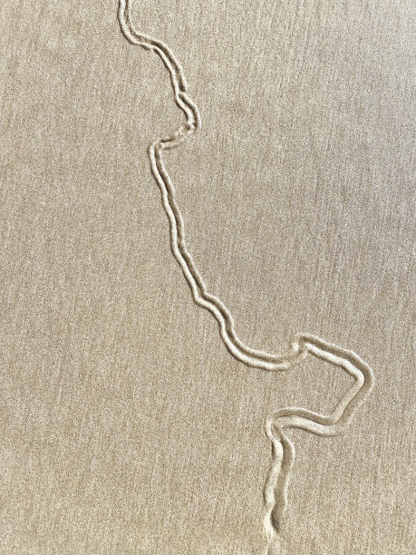 大自然在沙滩上的设计图片下载