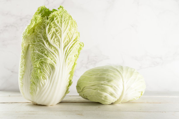 白板上的白菜和白菜图片下载