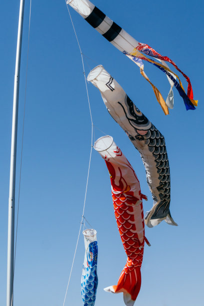 鲤鱼飘带在蓝天中游泳的形象图片下载