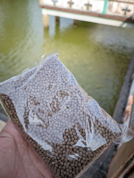 用透明塑料包裹着的鱼丸被一只手拿着，背景是绿色的湖水图片下载