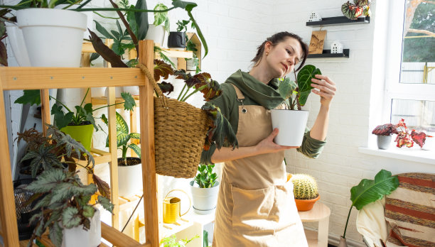 一位植物饲养员在家里的架子上检查和欣赏她收集的花盆里的家庭植物。寻找害虫，护理，浇水，肥料。家庭作物生产图片下载