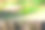 森林里一棵被砍倒的树上的嫩叶开始了新的生命图片下载